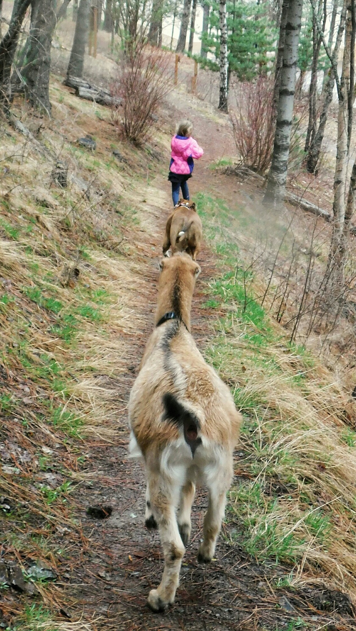 Kiff, Marty and Ella make their way down the trail together.