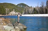 American Rivers puts Middle Fork of Flathead on its Most Endangered list