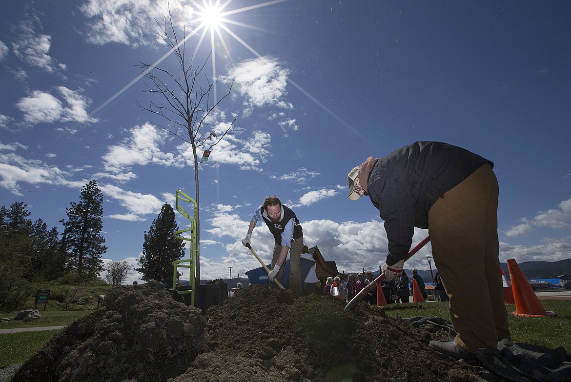 Photos: LISA JAMES/Press
Matt Voss, center, and Tony Muse of North West Plant Health Care dig a hole to plant a 12-foot red oak in McEuen Park in Coeur d&#146;Alene for Arbor Day on Friday. The planting was sponsored by the Lt. George Farragut Chapter of the Daughters of the American Revolution, who were on hand for the dedication of the tree.