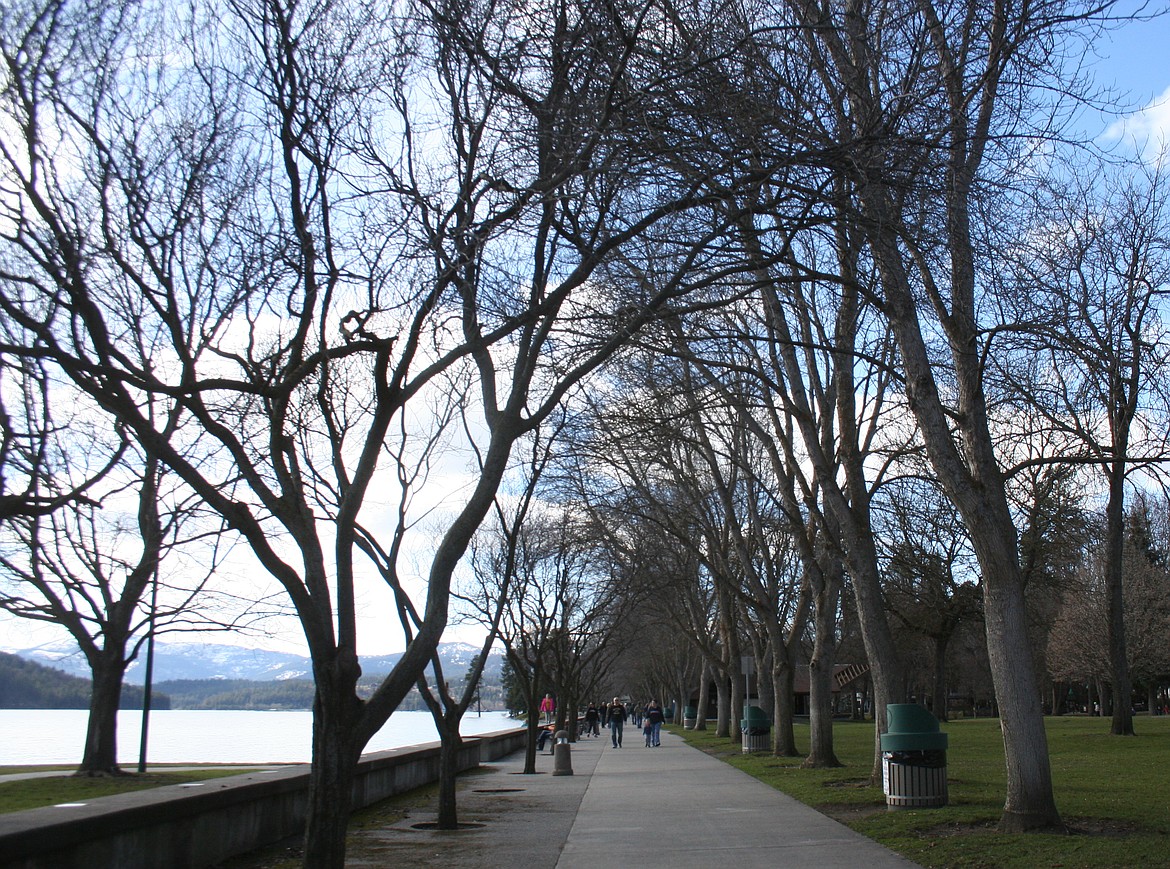 Courtesy photo
Trees line a walking path along the shore of Lake Coeur d'Alene. With their foliage on, these trees block more ultraviolet light and help preserve the pavement from decay.