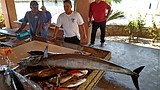 Whopping wahoo earns Hayden city councilman kudos in Mexico