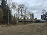 Tubbs land: Housing or natural?