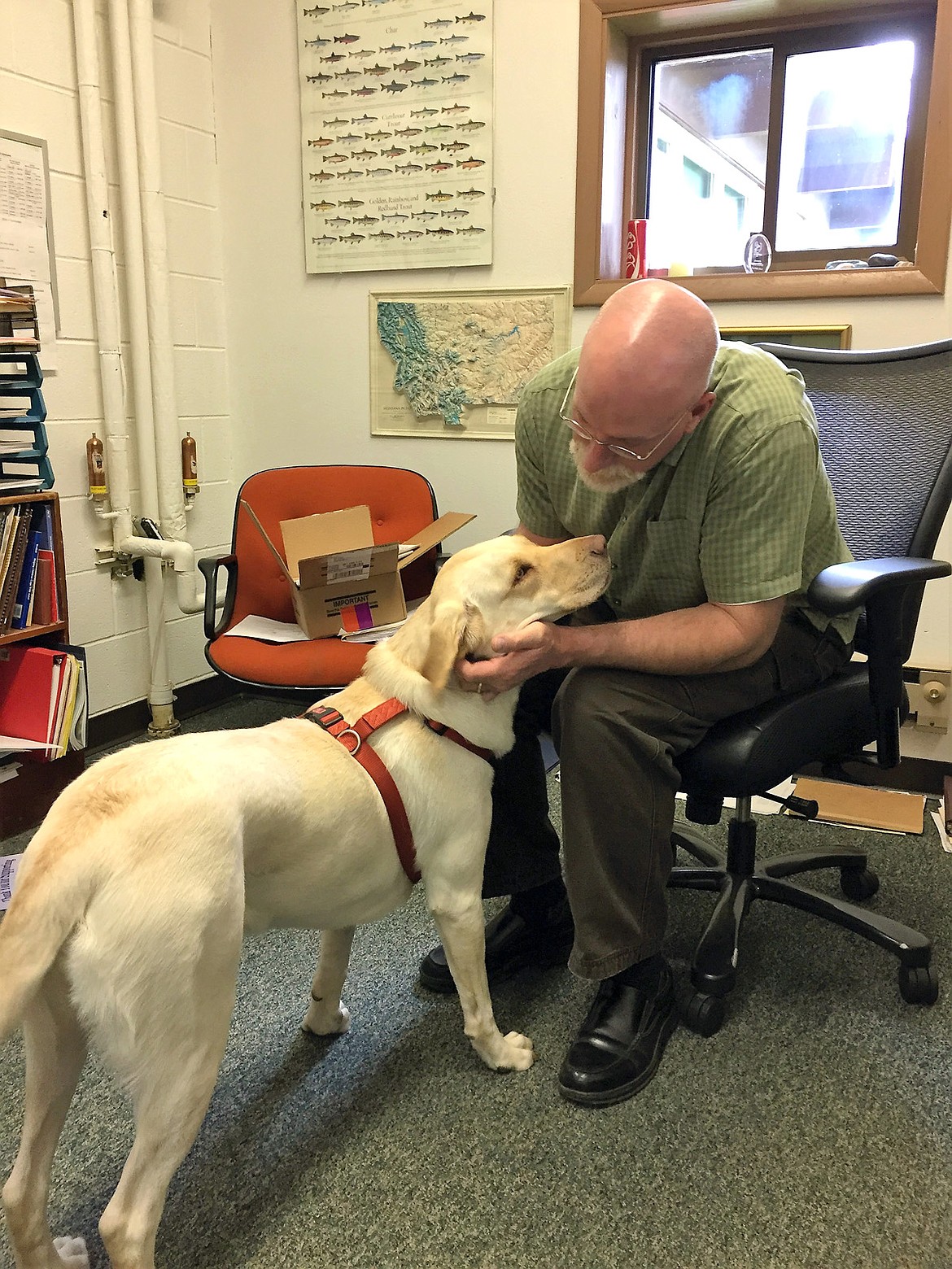 Troy High School counselor Kelly Pamler in his office with therapy dog Anna. (Elka Wood/The Western News)