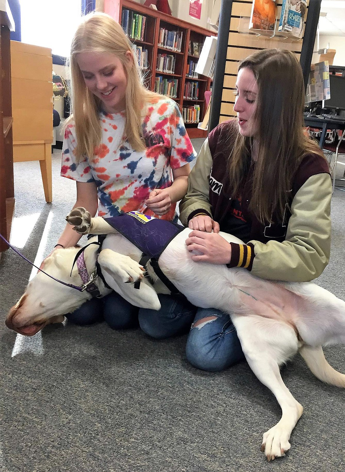 Sarah Pierce and Sami Rohrich play with therapy dog Anna in the Troy High School library. (Courtesy photo)