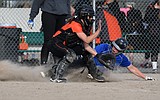 Wildkats clobber Hamilton 17-4 in softball