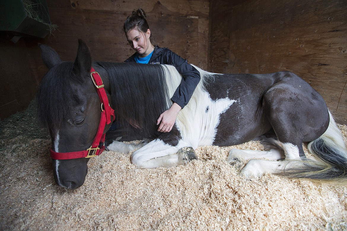 LISA JAMES/Press
Maddy Baker sits with Sundae, a pony she and her mother Kathy Baker found in a state of reported neglect near their house in Post Falls this past winter. Maddy has been helping her neighbor, Kevin Pozas, who took Sundae in, nurse her back to health. A GoFundMe page for Sundae has helped cover expenses and the cost of upcoming surgeries.