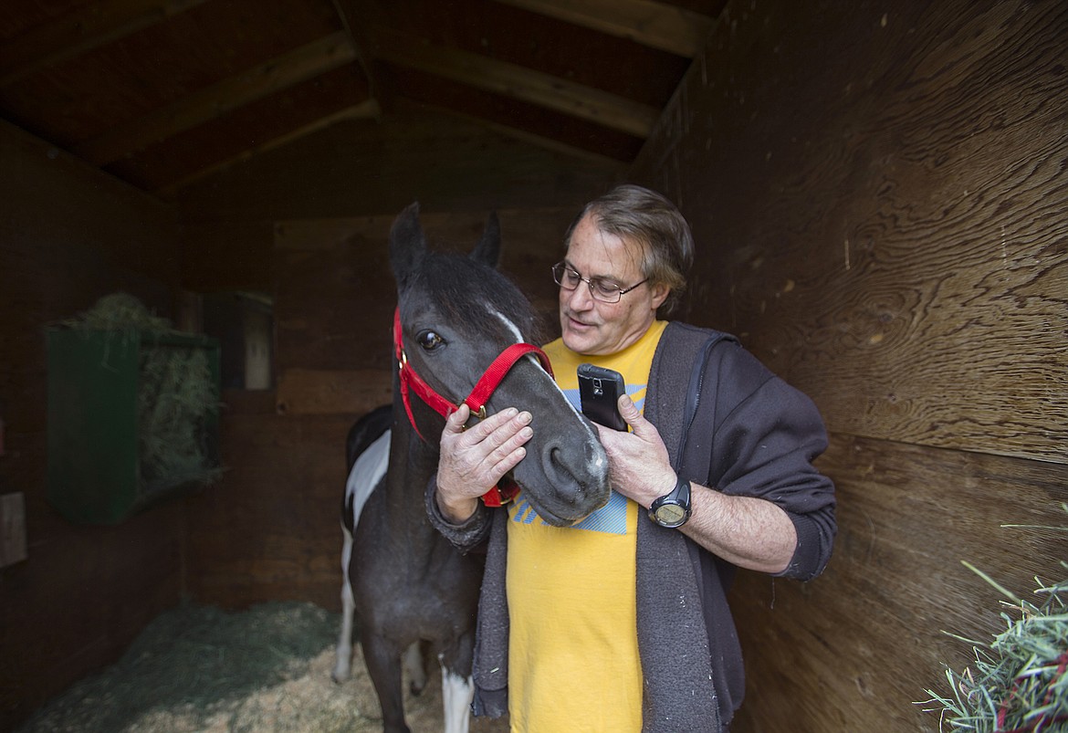 LISA JAMES/PressKevin Pozas talks with Sundae, a pony found in a state of reported neglect near his house in Post Falls this past winter. He and his wife took Sundae in and have been nursing her back to health. A GoFundMe page for Sundae has helped covered expenses and the cost of upcoming surgeries.