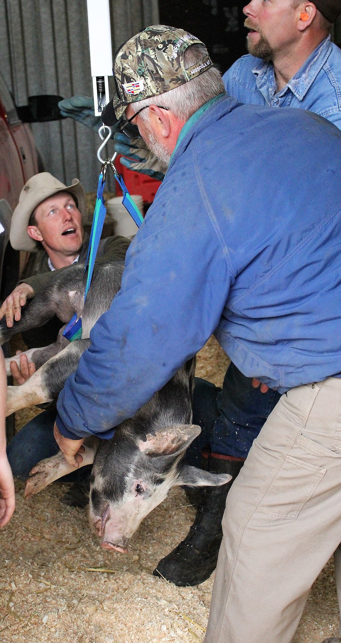 4-H member Jonna Warnken&#146;s pig weighed a whopping 110 pounds at Sunday&#146;s 4-H pig weigh-in. (Kathleen Woodford/Mineral Independent)