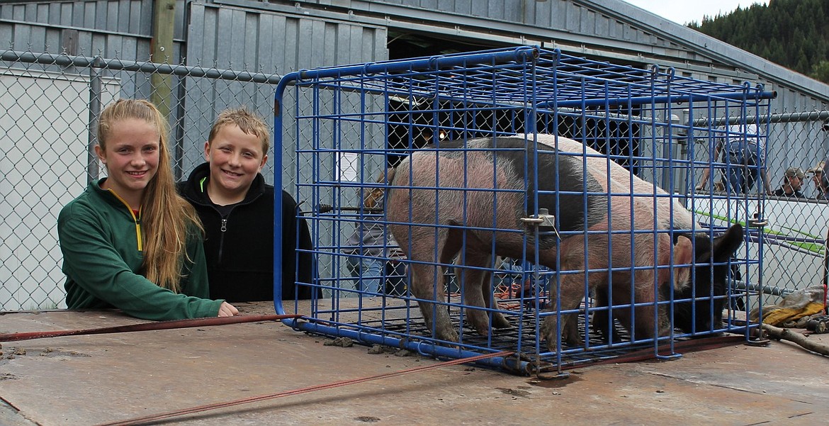 Baylee and John Pruitt brought their pigs &#147;Thunder&#148; and &#147;Snow&#148; to the 4-H weigh-in last Sunday at the Superior fairgrounds.