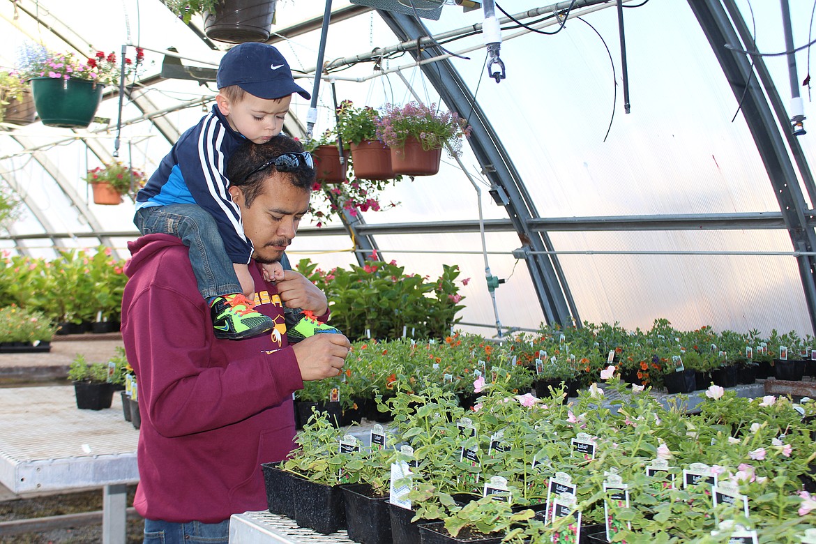 Cheryl Schweizer/Columbia Basin Herald
Gardeners of all ages perused the choices available at the annual Moses Lake High School plant sale Friday.