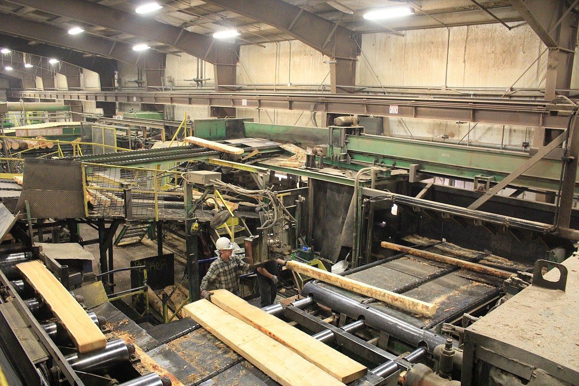 Mills such as Tricon in St. Regis can turn small-diameter trees into 2x4 lumber and utilize other lumber byproducts creating a healthy local economy that, in turn, helps create healthier forests. (Kathleen Woodford/Mineral Independent)