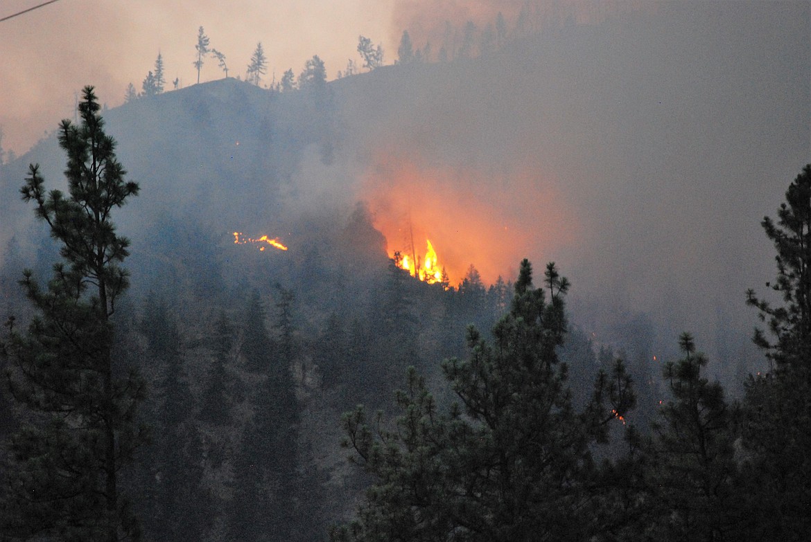 Megafires burn hotter and longer as a result of a number of factors facing forests in today&#146;s landscape. Disease, drier climate and dense younger trees are a few contributing factors. (File photo by Peggy Temple)