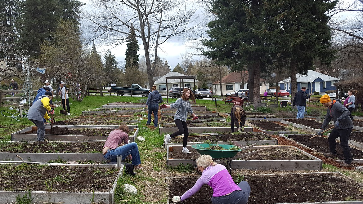 Courtesy photo
On April 23, about 60 volunteers were at the Shared Harvest Community Garden in Coeur d&#146;Alene to prepare plots for spring planting. The garden, which is entering its ninth season, allows residents to purchase garden plots and plant what they wish using &#147;organic practices,&#148; while also donating produce to local food assistance facilities.