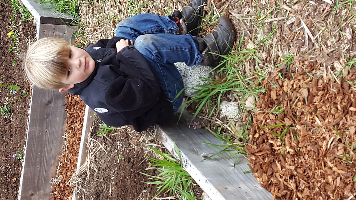 Courtesy photo
Weston Gimbel, 4, takes a break from volunteering at Shared Harvest Community Garden in Coeur d&#146;Alene. On April 23, about 60 volunteers met at the garden to prepare it for the upcoming growing season.