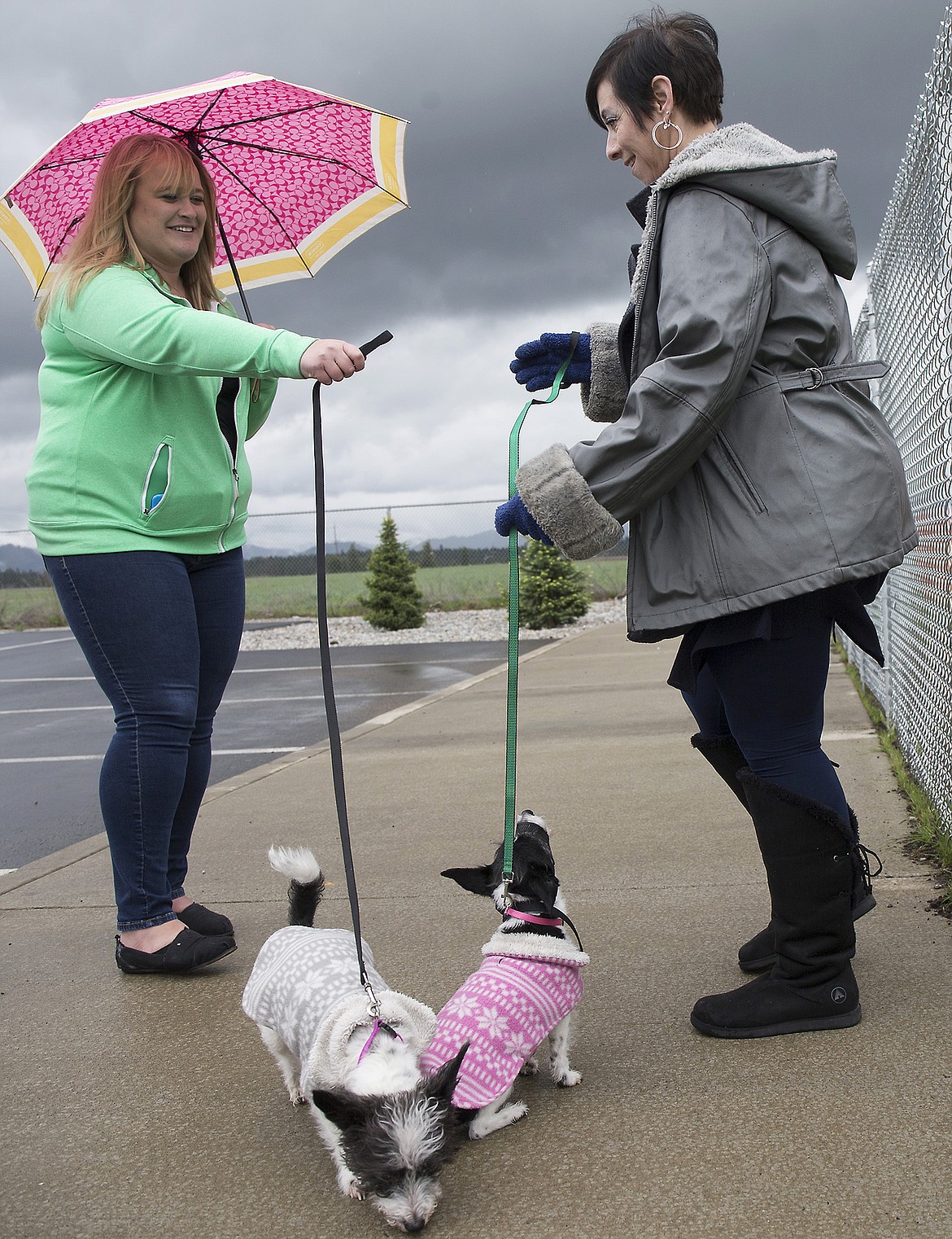 LISA JAMES/Press
Jen Arrotta, left, helps Suzie Cano wrangle her terriers Felix, left, and Sasha, during the grand opening of Hayden&#146;s first dog park, Pawfoot Park, on Lancaster Road Friday. The smaller dogs soon got chilly as the wet weather turned cold, and headed for the shelter of the car, while bigger dogs played.