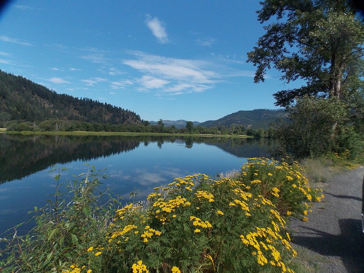 Courtesy of IDAHO DEPARTMENT OF FISH AND GAME
A view of the Coeur d&#146;Alene River and the Trail of the Coeur d&#146;Alenes.