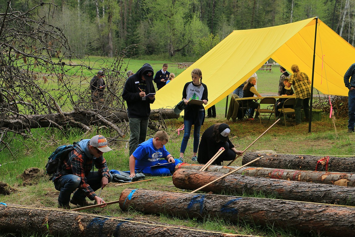 (Photo by MARY MALONE)
Tree scaling was one of the many forestry skills Idaho youth participated in Thursday during the 35th annual Idaho State Forestry Contest at the Delay Tree Farm in Careywood.