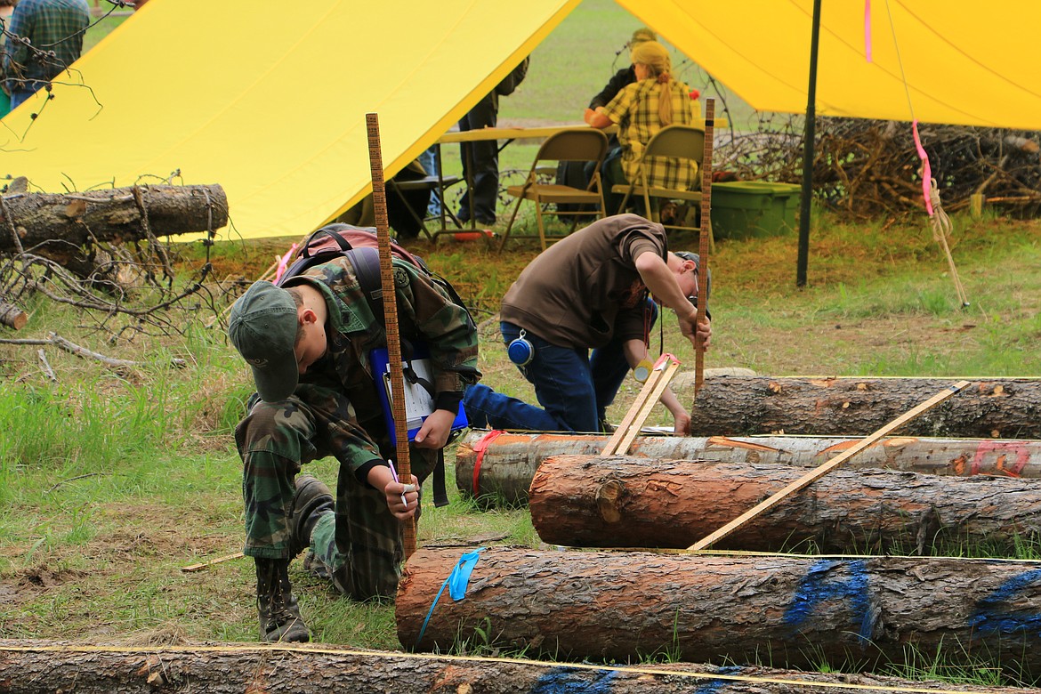 (Photo by MARY MALONE)
More than 550 youth from across the state participated in the 35th annual Idaho State Forestry Contest Thursday at the Delay Tree Farm in Careywood.