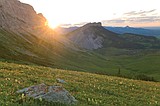 Wilderness walks on tap