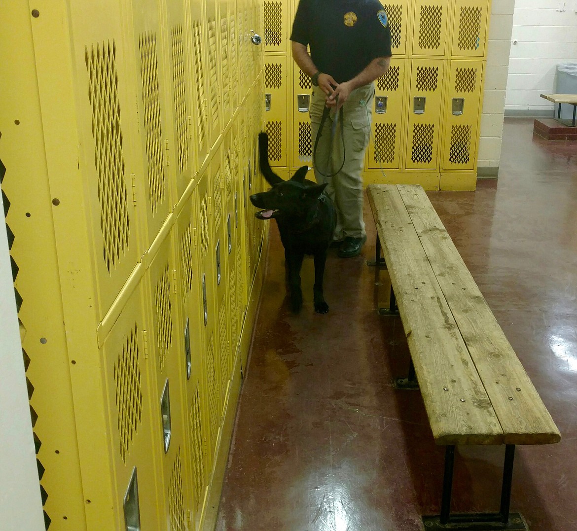 Lily sniffs her way through one of the locker rooms, looking for illegal drugs.