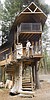 Now that's a Treehouse