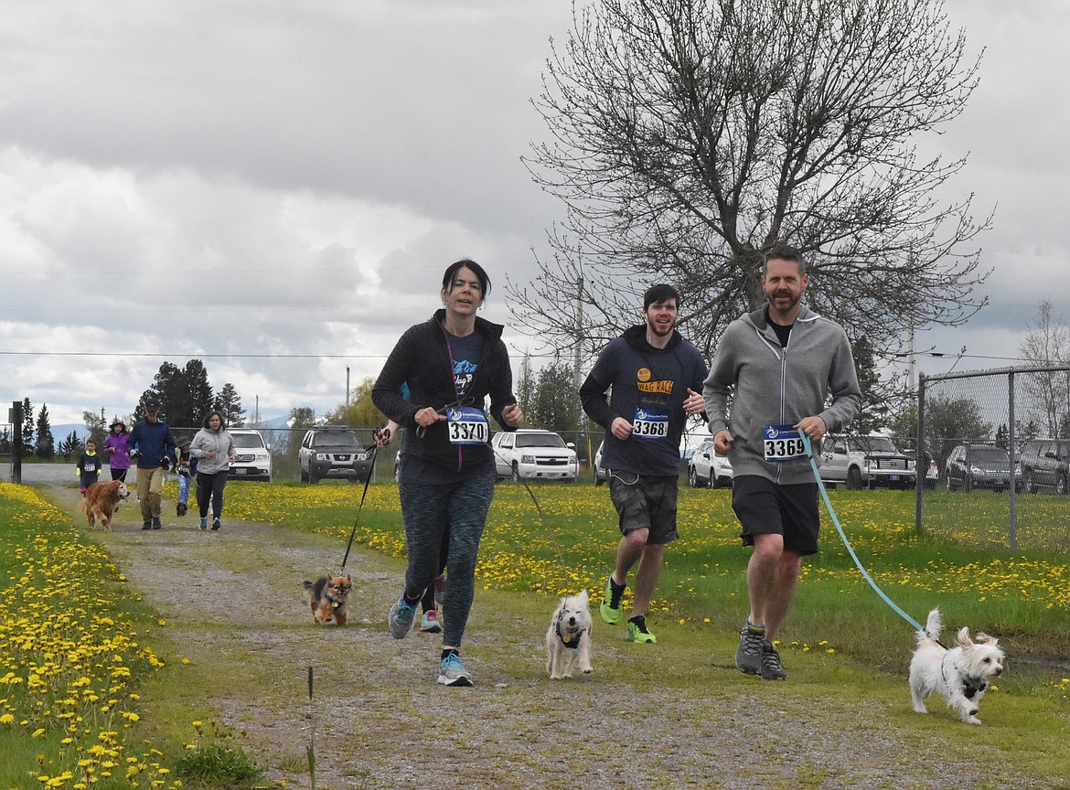 Runners and their dogs competed in the 8th annual WAG race Sunday morning at the Whitefish Hugh Rogers WAG dog park. (Heidi Desch/Whitefish Pilot)