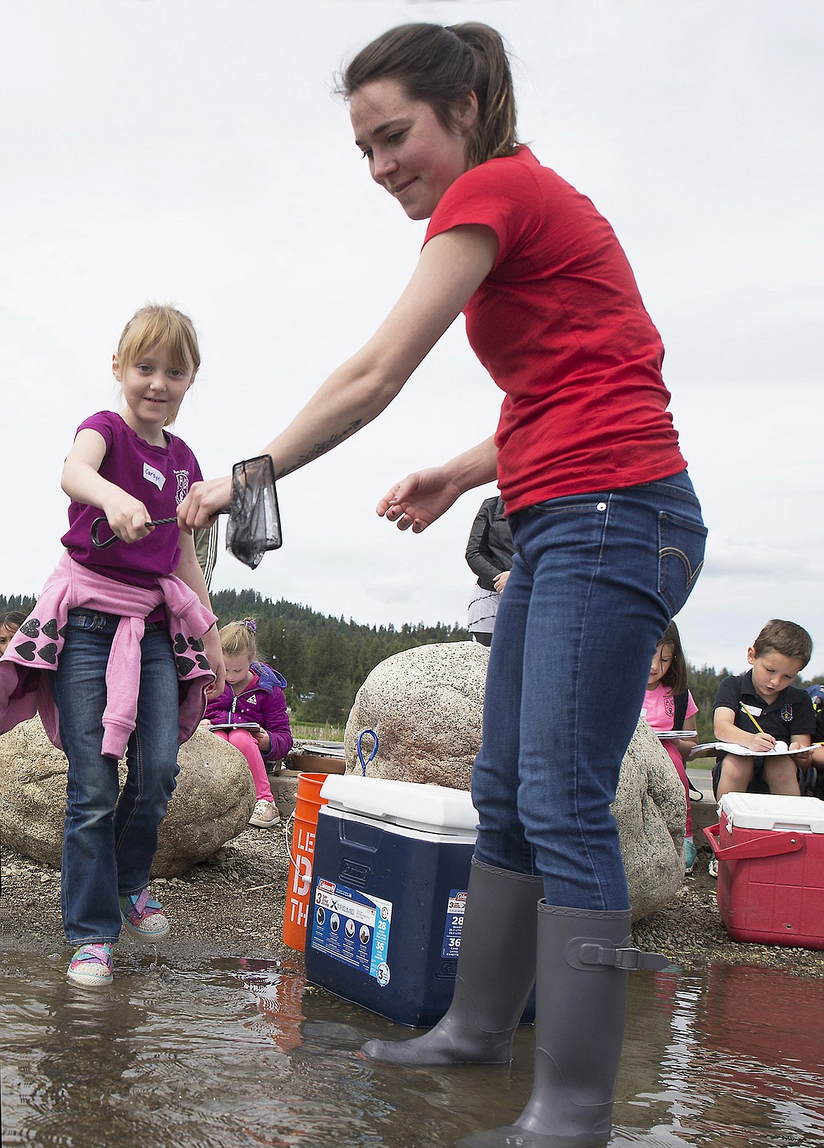 LISA JAMES/PressRamsey Magnet School of Science second-grader Carsyn Rahn takes the fishing net from student teacher Julia Schatz to release one of the rainbow trout they raised into Hauser Lake on Thursday.