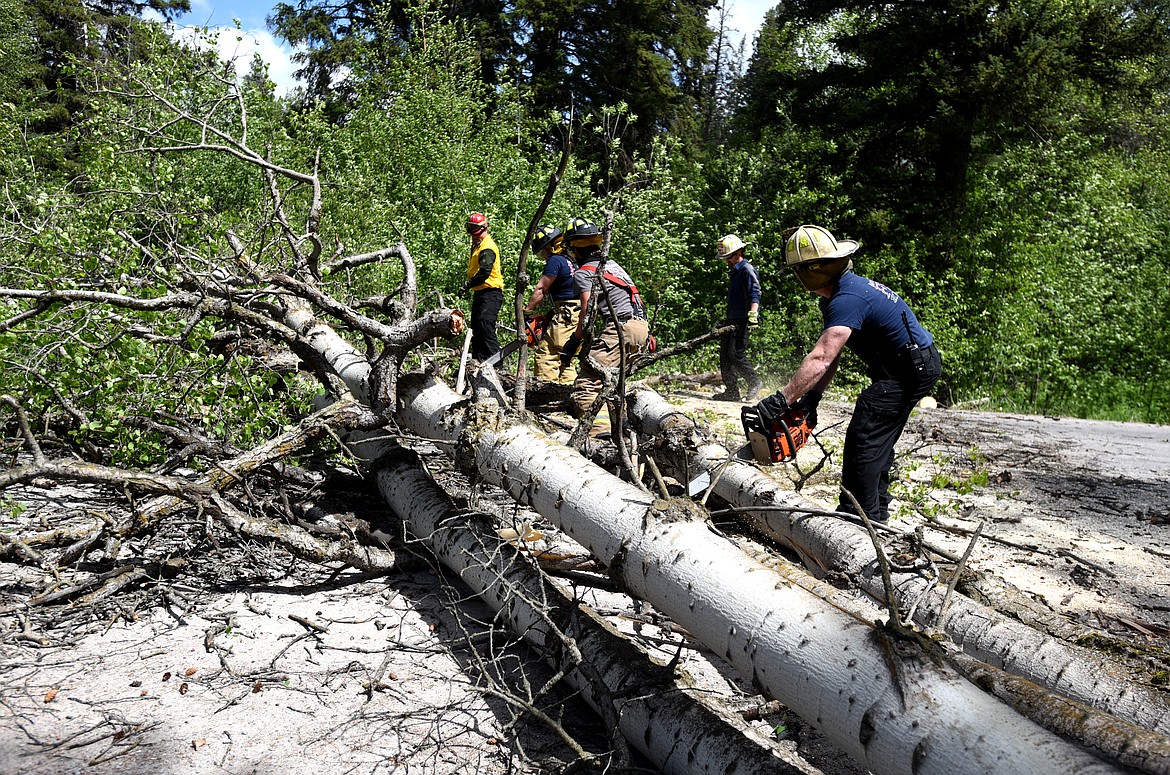 Evergreen firefighters and first responders work to remove a fallen tree from Rose Crossing on Wednesday. (Aaric Bryan/Daily Inter Lake)