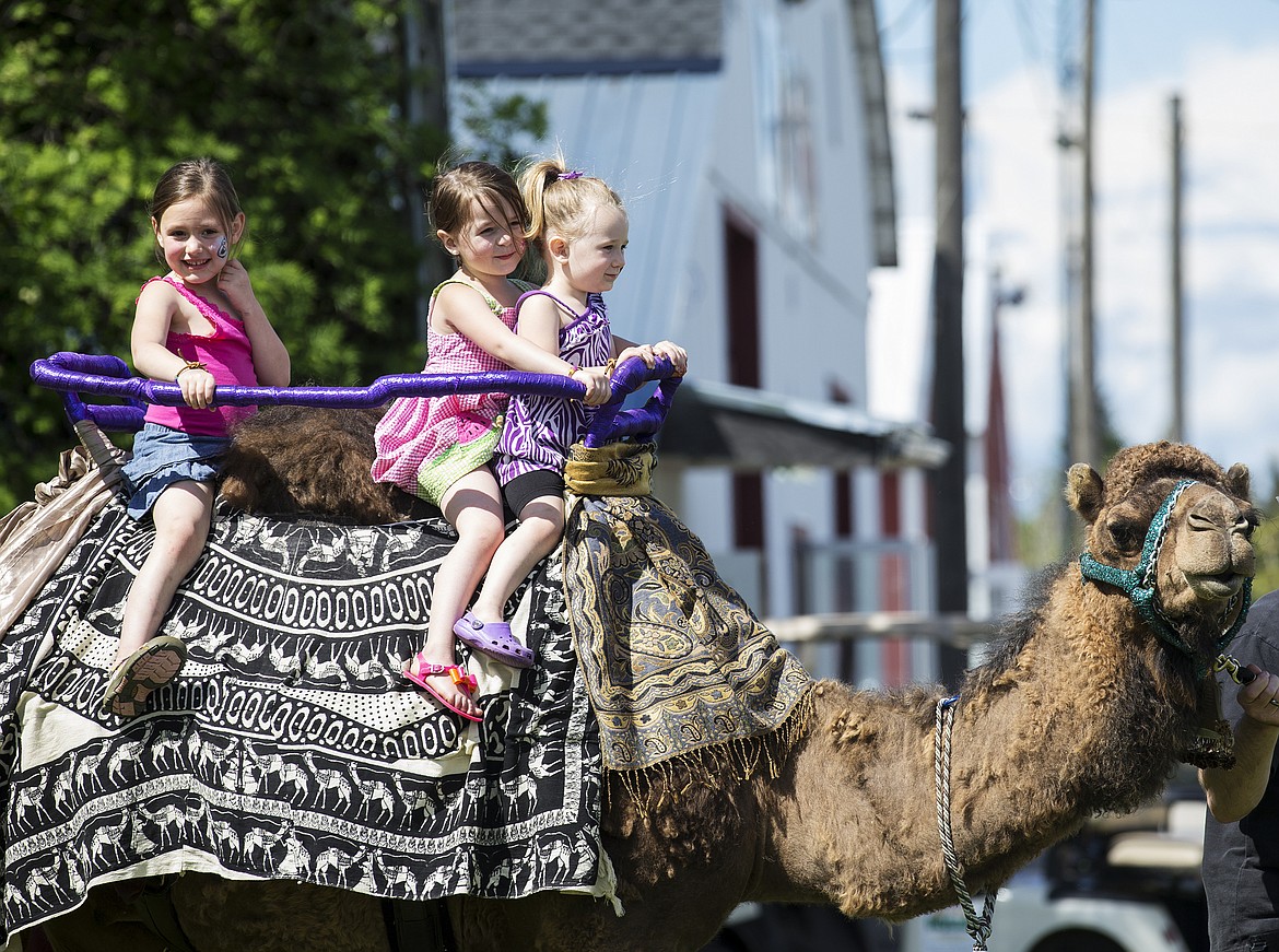 LOREN BENOIT/Press
From left, siblings Bailey, Kylie and Hannah Richards ride Moses the camel at the Cute as a Bug Petting Zoo and Camel Ride station at Spring Fest on Saturday.