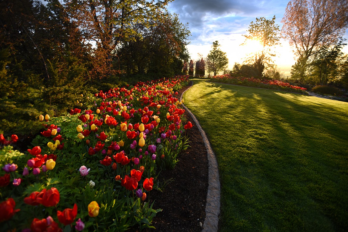 Sunrise at the Bibler Home and Gardens on Friday, May 19, east of Kalispell.(Brenda Ahearn/Daily Inter Lake)