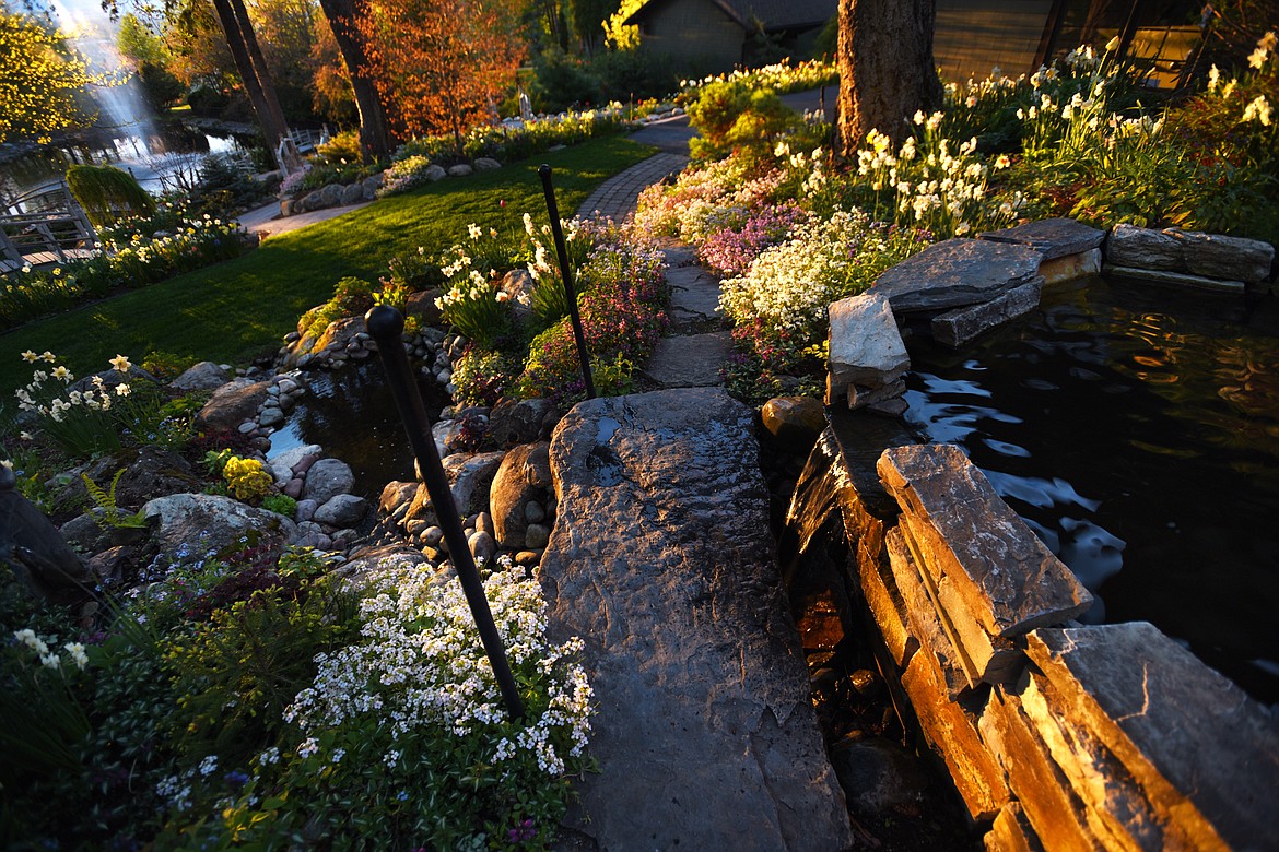 Sunrise at the Bibler Home and Gardens on Friday, May 19, east of Kalispell.(Brenda Ahearn/Daily Inter Lake)