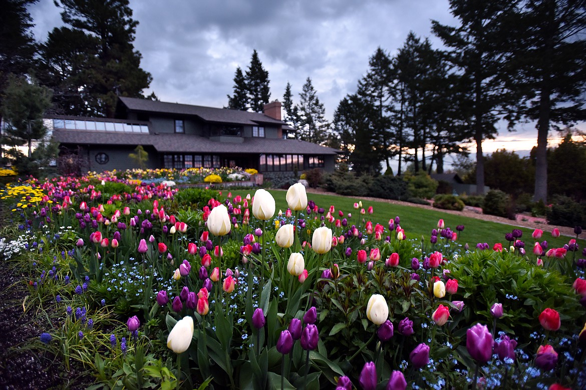 Sunrise at the Bibler Home and Gardens on Friday, May 19, east of Kalispell. (Brenda Ahearn photos/Daily Inter Lake)