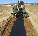 Educational gardening events through WSU Master Gardeners