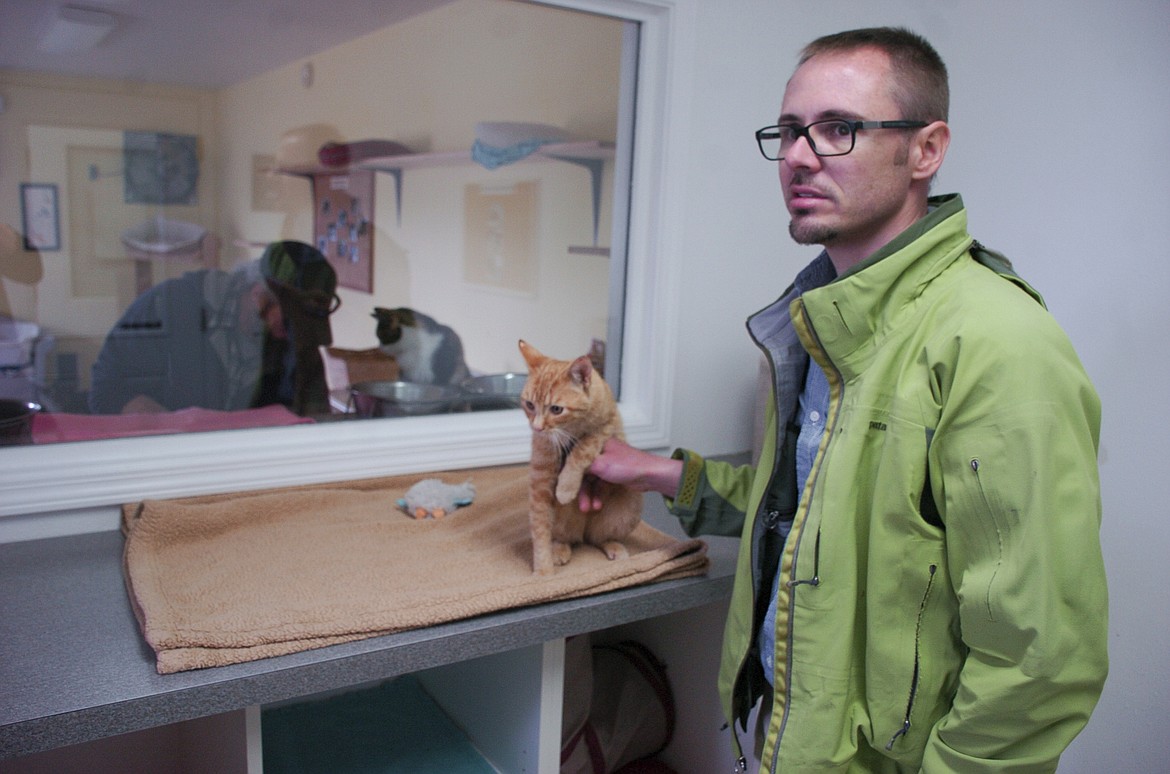 Mission Valley Animal Director Filip Panusz pets Pumpkin, a stray kitten that was found abused in Ronan. (Brett Berntsen/Lake County Leader)