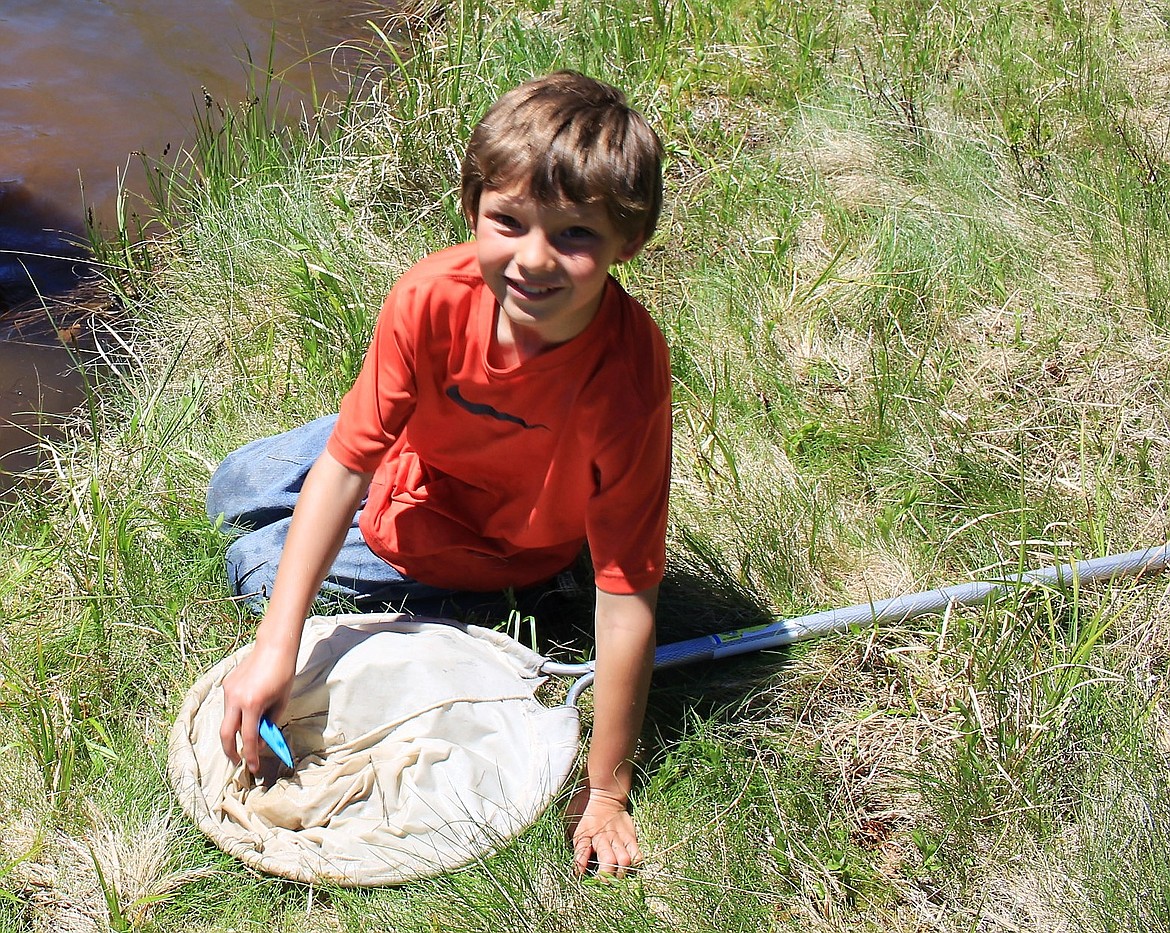 Allen Ryan looks through his net for midges, snails and other aquatic life at the pond. (Kathleen Woodford/Mineral Independent).