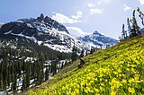 Trump budget trims nearly $1 mil from Glacier