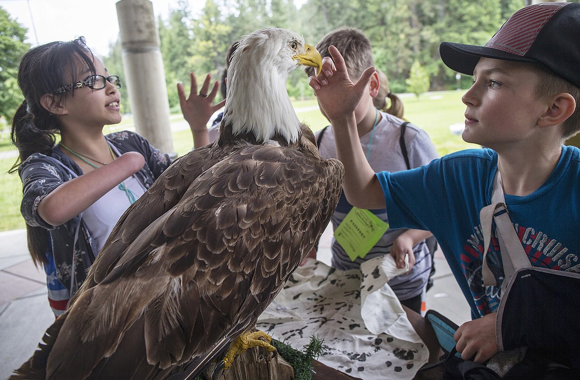 Photos: LISA JAMES/Press
Fernan school fifth-grader Luke Turley touches the beak of a taxidermied eagle as classmate Emma Lund watches during Coeur d&#146;Alene&#146;s first Water Festival at McEuen Park on Thursday. The event, meant to empower students with the knowledge to appreciate, respect and protect our water resources, was sponsored by the Inland Northwest Community Foundation, Kootenai Environmental Alliance, U of I Extension Water Resources and the Water Festival Steering Committee. The event continues today.