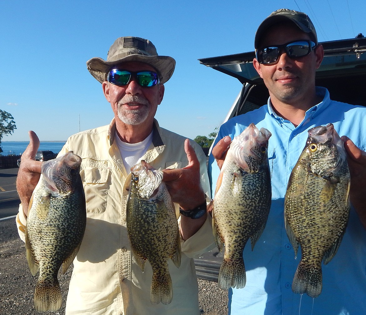 Courtesy photo - The crappie bite is on. The anglers had a limit of crappie ranging from 12-14 1/2&quot; caught off beaver huts back in the dunes.