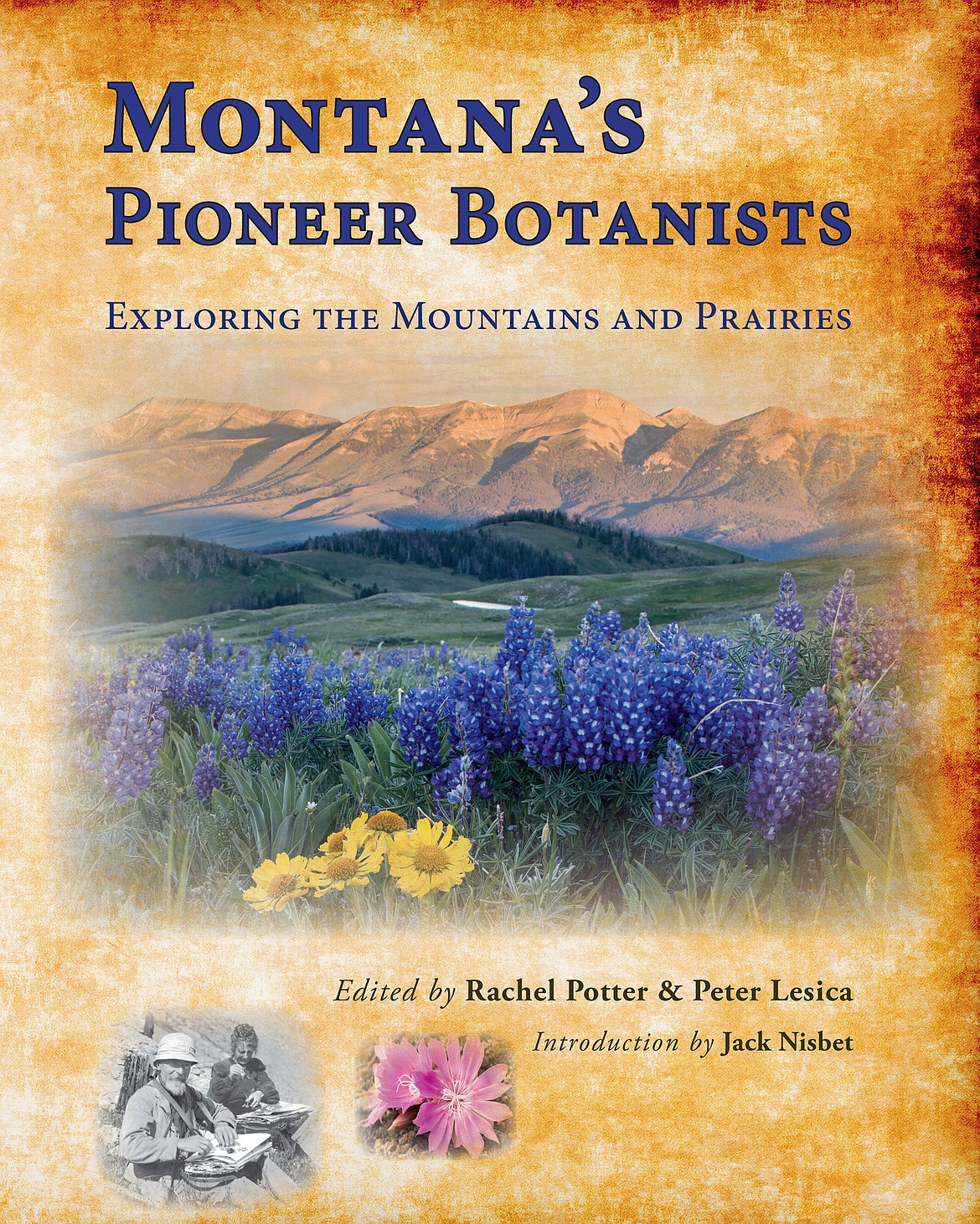 BOTANIST AND co-editor Rachel Potter will be signing copies of the book &quot;Montana's Pioneer Botanists&quot; during the upcoming Whitefish Gallery Night, Thursday from 6 to 9 p.m. at Stumptown Art Studio. (Courtesy photo)