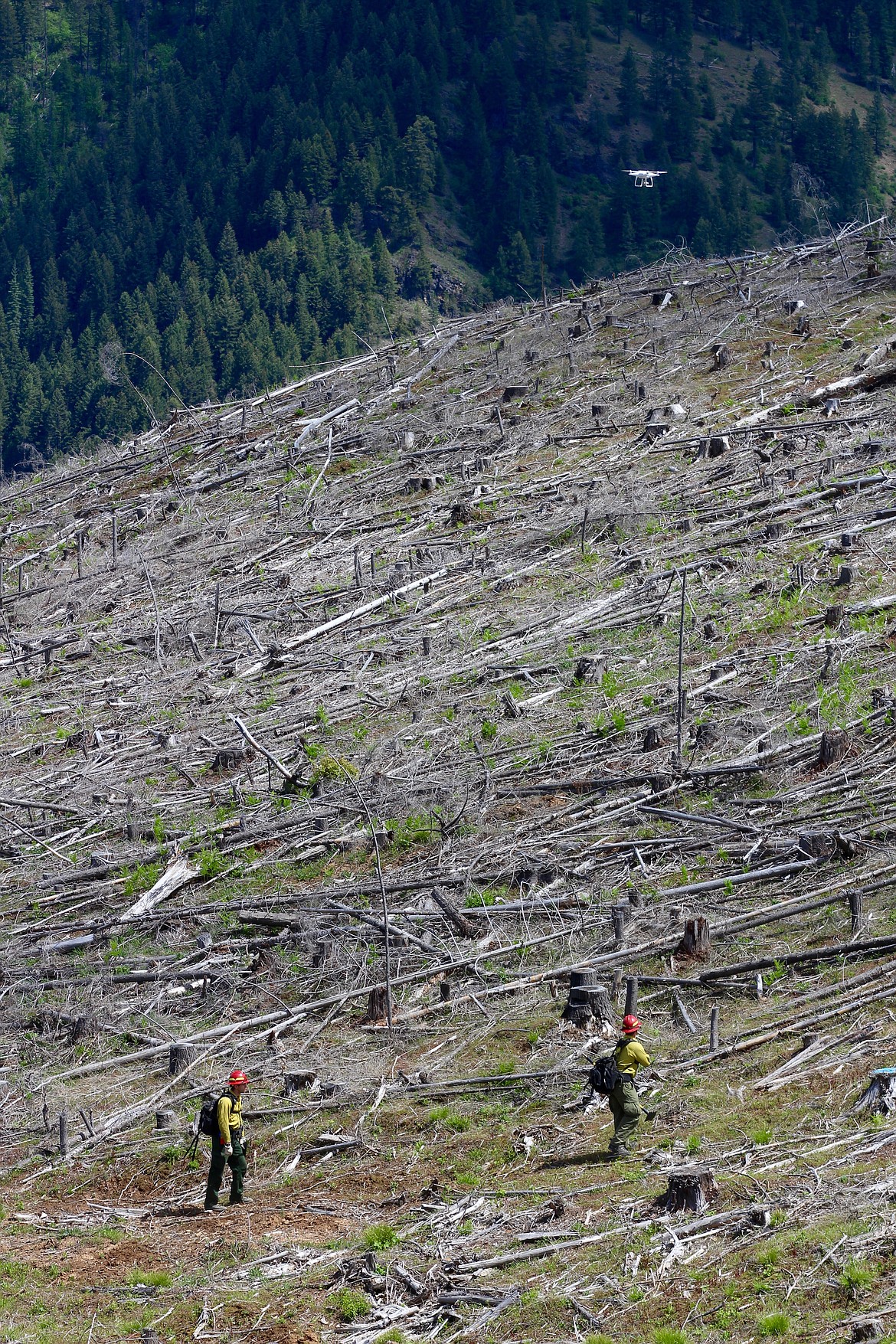 IDL fire crews look up and follow the drone to &#145;hot spots&#146; during the demonstration. 
The drone can be seen as a white dot in the upper right-hand corner.