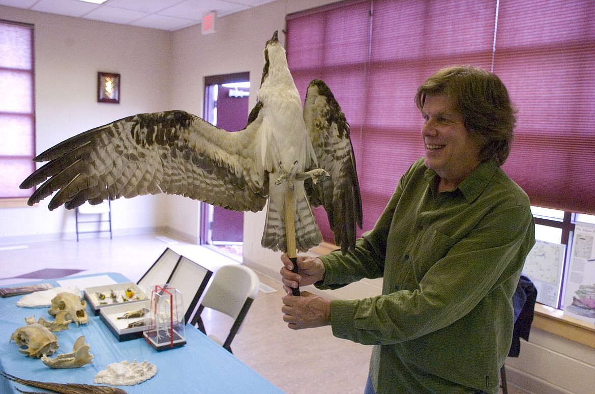 JAMES ROGERS of the Mission Mountain Audubon Society shows off a stuffed osprey during the Community Birds and Bears Festival on May 25. (Brett Berntsen/Lake County Leader)