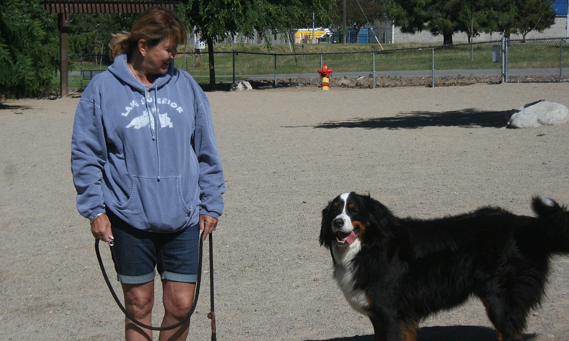 Photo by MATT BALL
A woman smiles at Bernese mountain dog Izzy at Cherry Hill dog park.