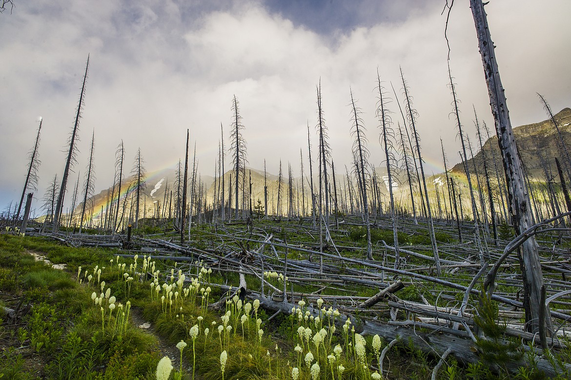 A rainbow arches over the trail.