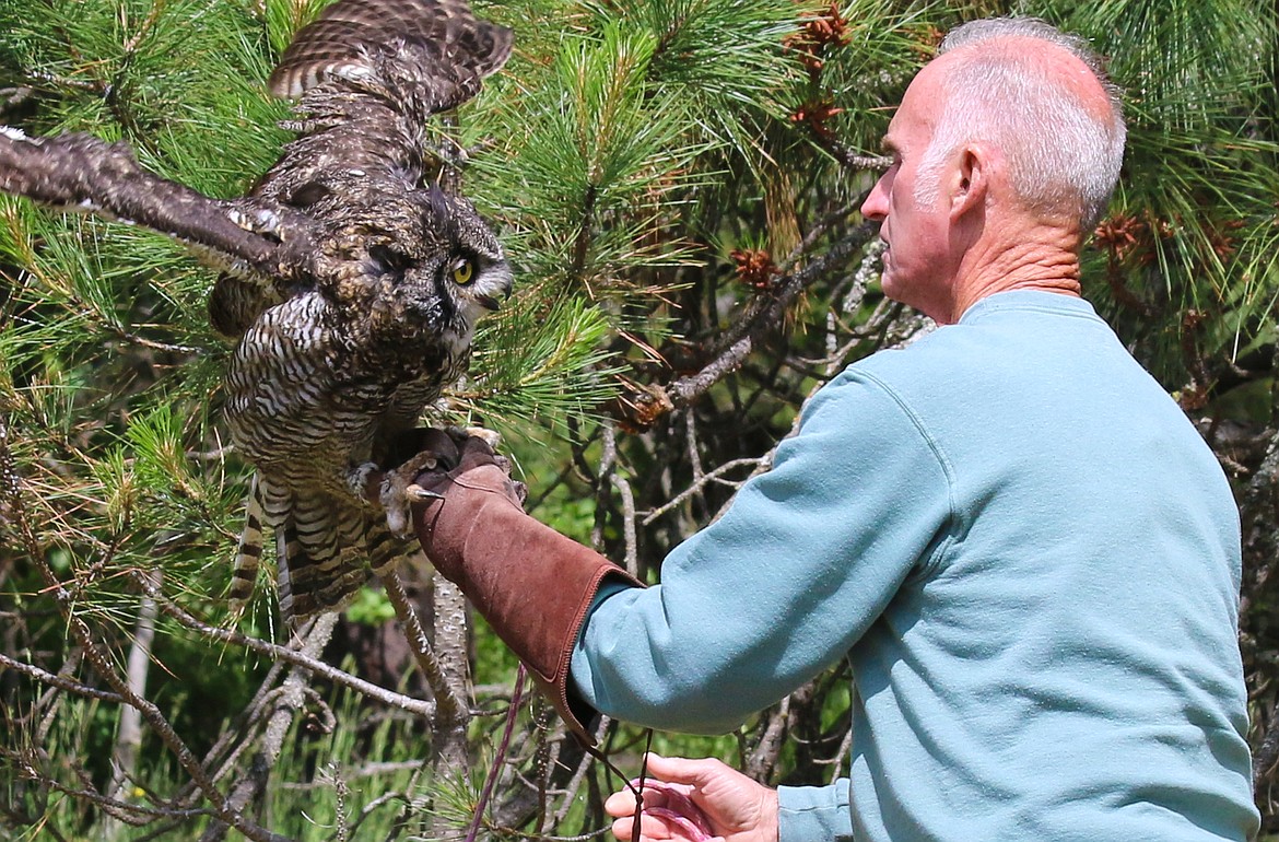 Photo by Mandi Bateman
Ken English and his friend, Great Horned Owl &#147;Hoot,&#148; have a special bond, formed over the last five years after Hoot was rescued.