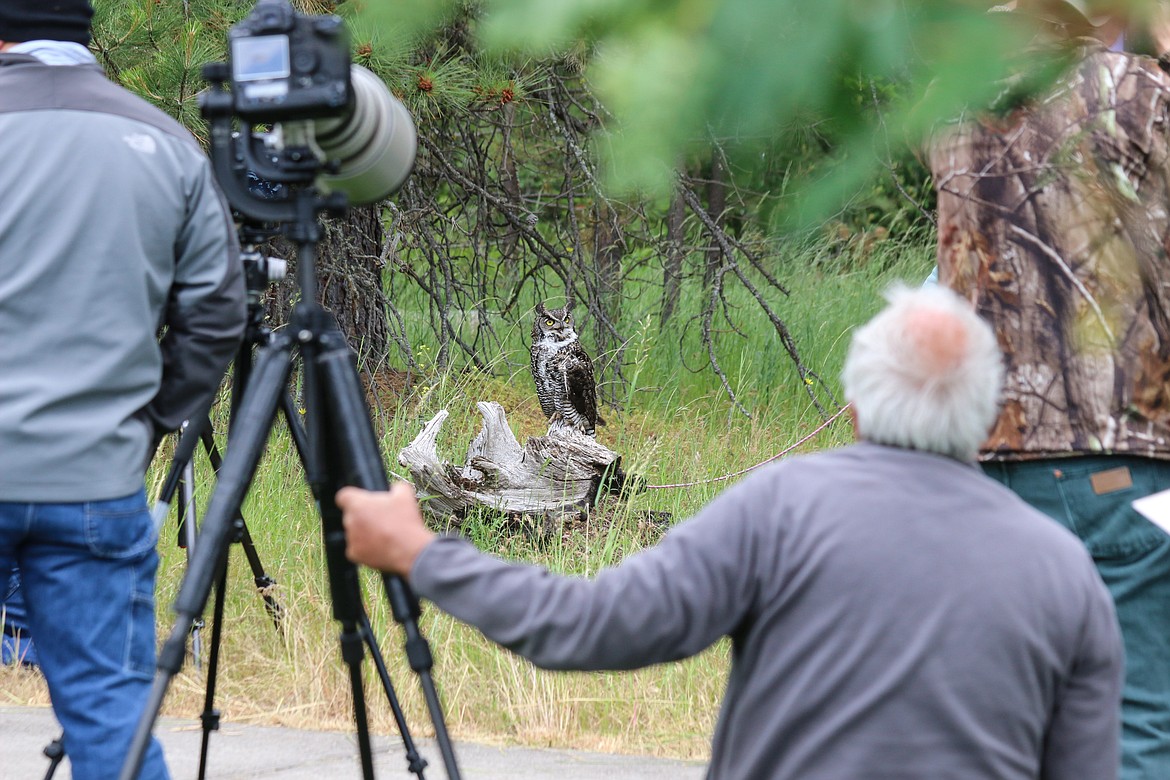 Photo by Mandi Bateman
Photographers had the rare chance to take photos of the owl that Ken English rescued five year ago.