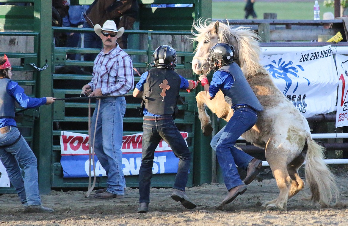 Photo by Mandi Bateman
The Wild Pony Races had the audience on the edge of their seats.