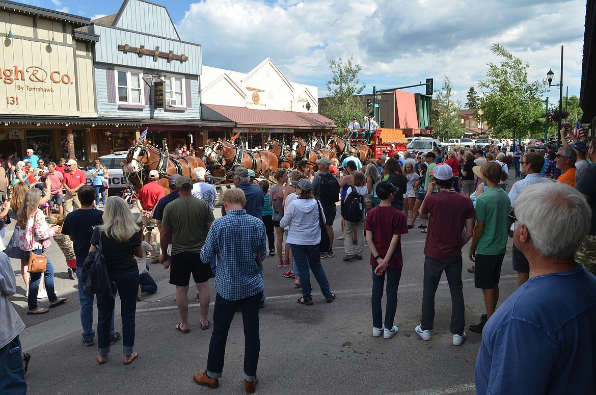 The famous Budweiser Clydesdales made an appearance in Whitefish Wednesday evening.  Folks lined the street to get a look at the horses and snap photos. (Heidi Desch/Whitefish Pilot)