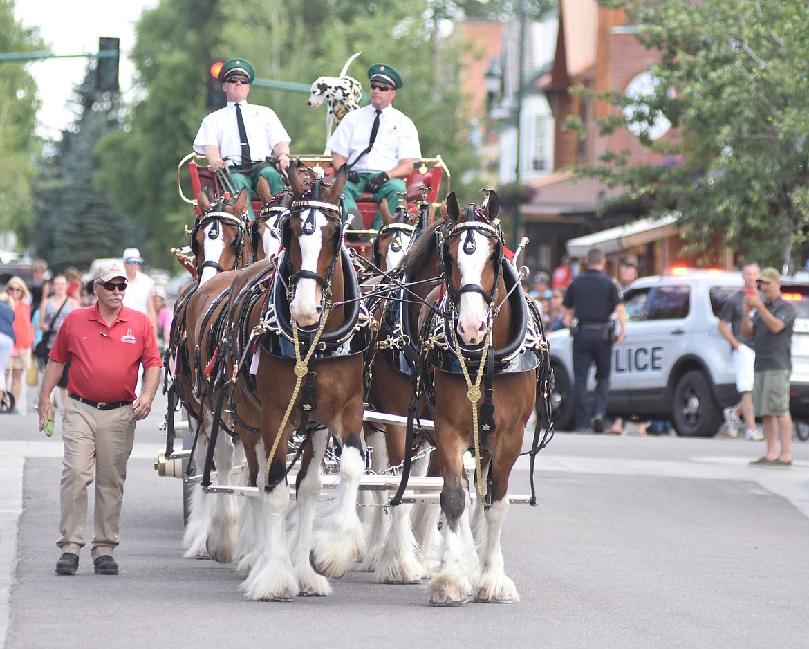 The famous Budweiser Clydesdales made an appearance in Whitefish Wednesday evening.