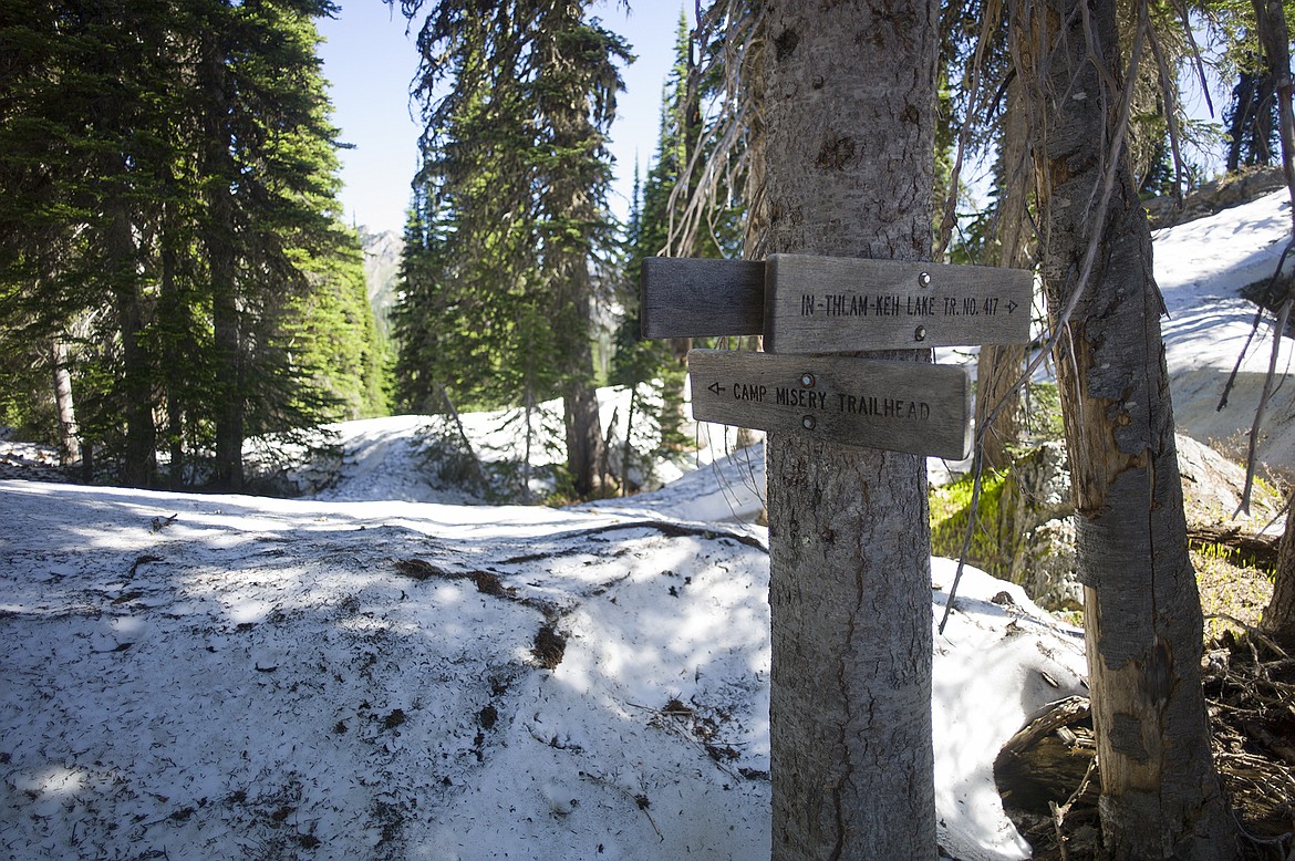 Snowdrifts abound along the trail to Crater Lake.