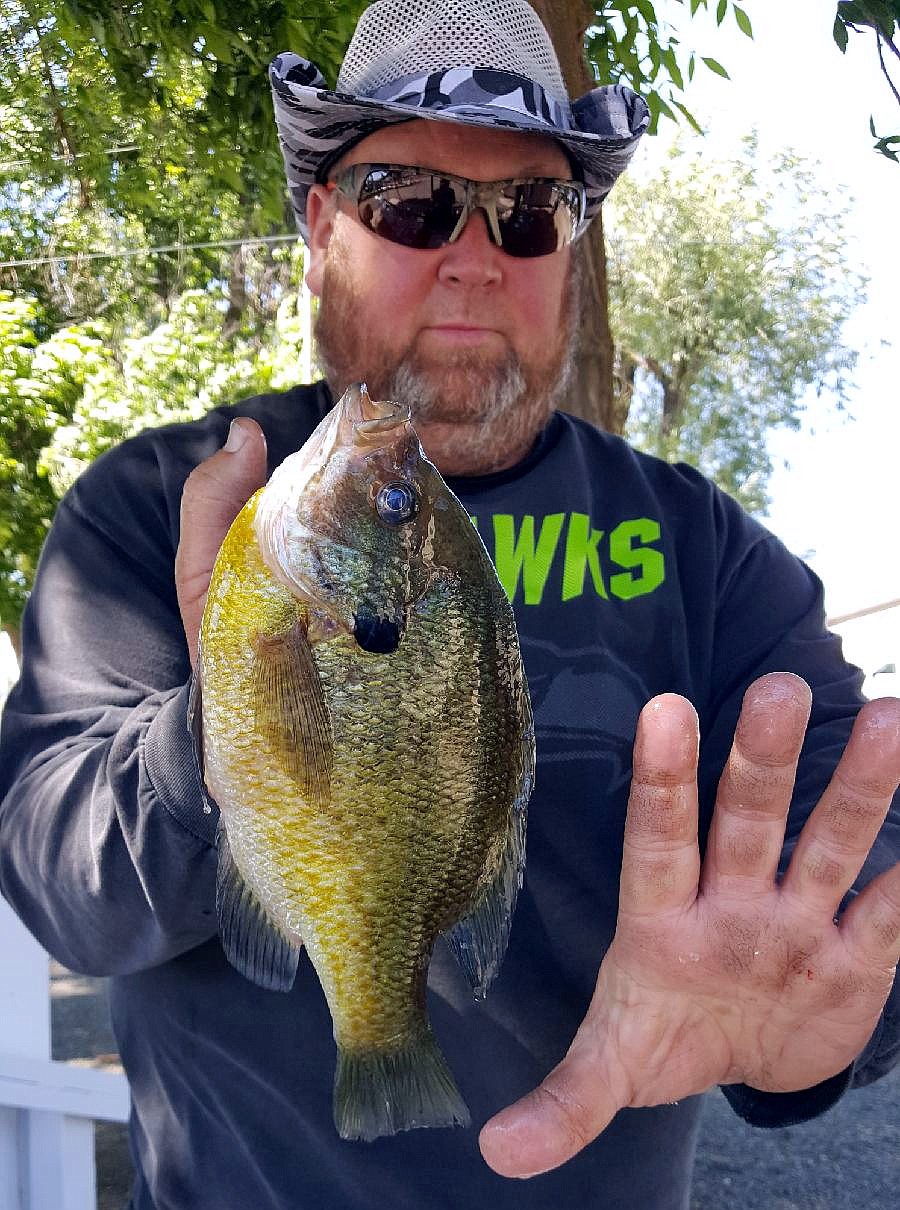 Courtesy photo - Chris Tyrolt with a big bluegill out of the dunes. Chris was trolling a spinner rig with a worm when this bruiser bluegill hit.